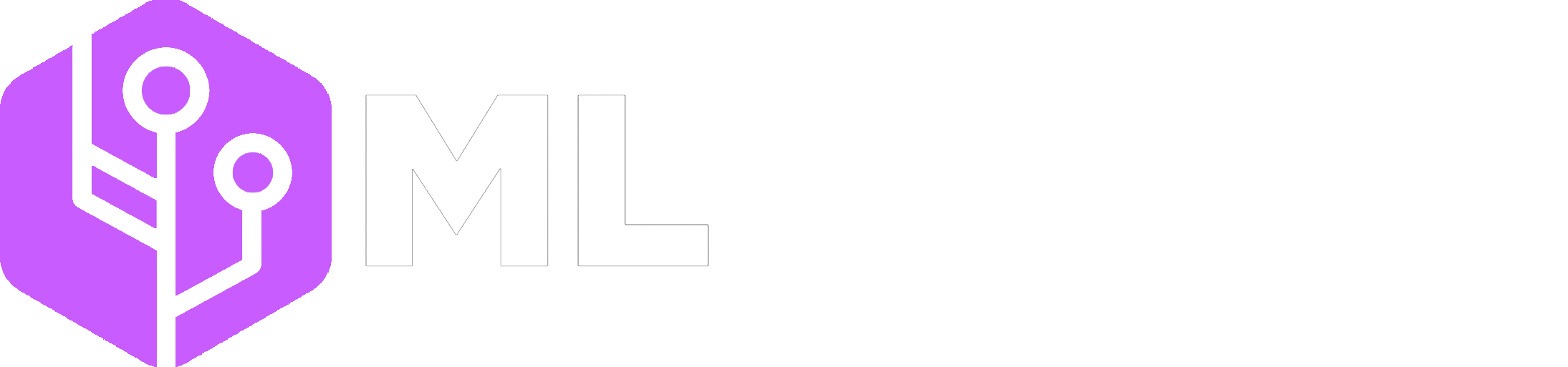 ML Accelarator 3.0